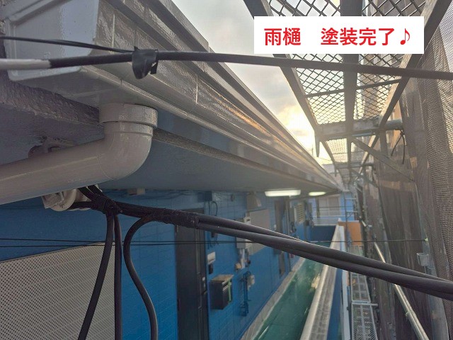 雨樋塗装完了♪