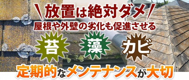 外壁クラックからの雨漏り修理依頼　修理方法は？