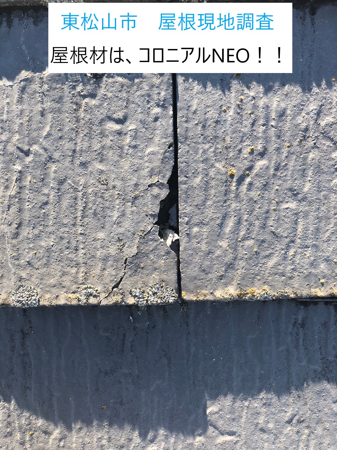 東松山市で屋根点検・調査！コロニアルNEOの修理方法はカバー工法OR葺き替えです！