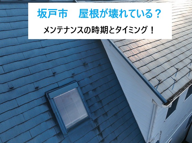 坂戸市　屋根が壊れている？小さなヒビが雨漏りのはじまりかも！