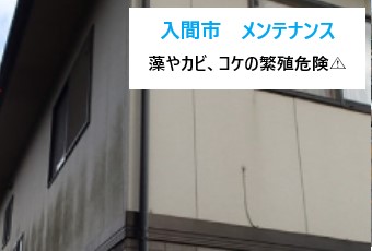 入間市　屋根や外壁の劣化、藻・カビ・コケの発生を防ぐためのメンテナンスと対処法