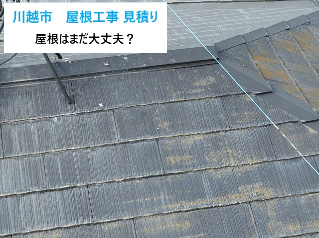 川越市　雨漏りがきっかけとなった屋根工事見積もりと現地調査！屋根はまだ大丈夫？その理想と現実