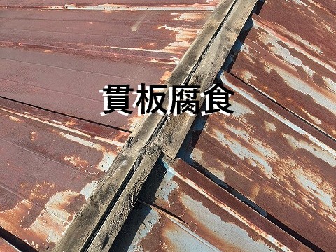 貫板腐食