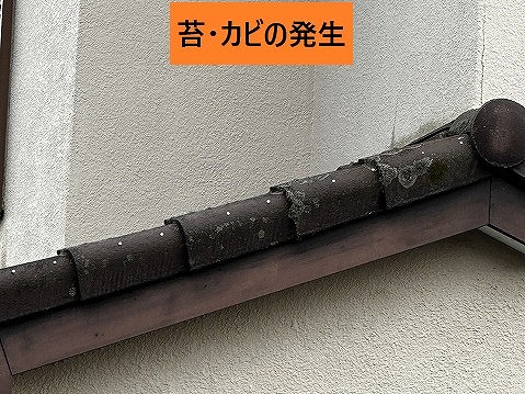 軒先瓦の苔とカビ