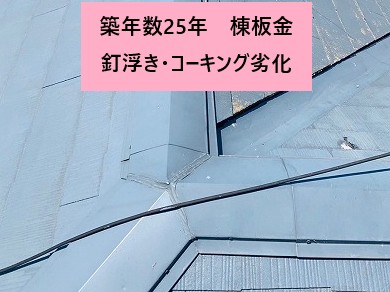 棟板金劣化