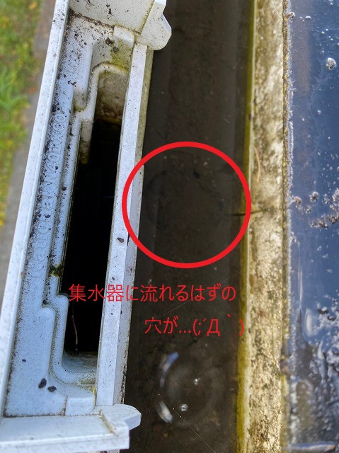 鶴ヶ島市で雨樋に詰まった土埃や落ち葉の除去・散水確認で貫通しました！