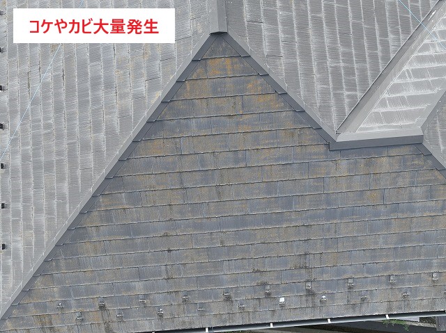 屋根工事　見積もり依頼をして現状を確認しましょう♪