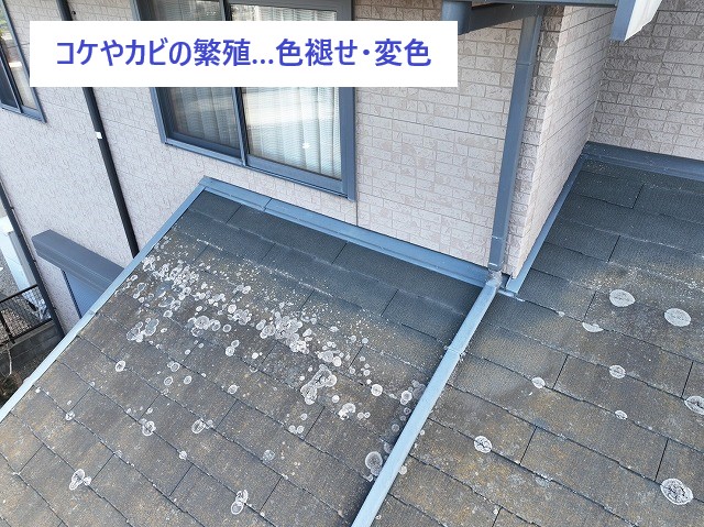 屋根カバー工法　屋根のことってどこに相談して良いのか分からない…そんな時は街の屋根やさんへ♡