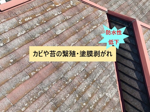 屋根の劣化