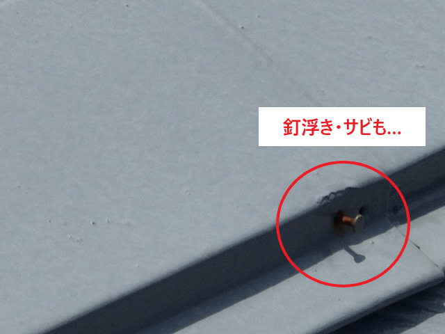 棟板金の浮き　業者の指摘で不安に！