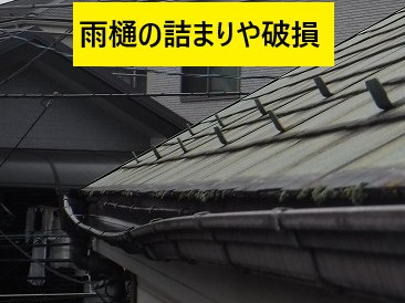 雨樋の詰まり破損