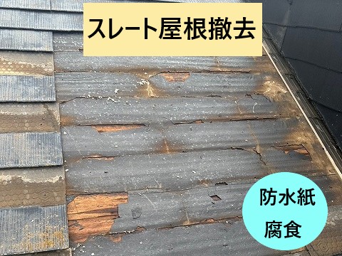 防水紙劣化