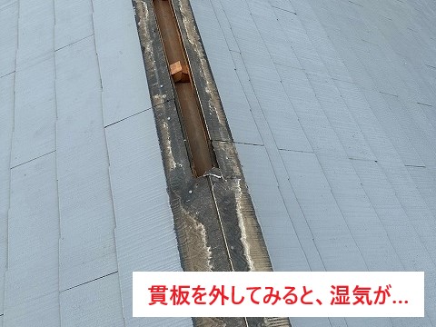 棟板金の浮き　業者の指摘で不安に！