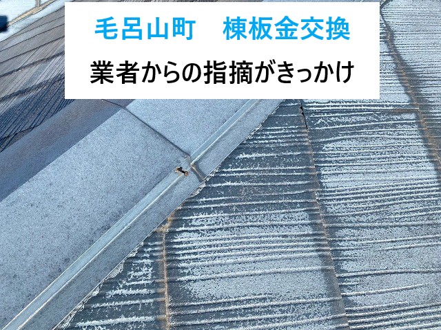 毛呂山町　訪問業者の指摘がきっかけで棟板金交換！釘の浮きは要注意！