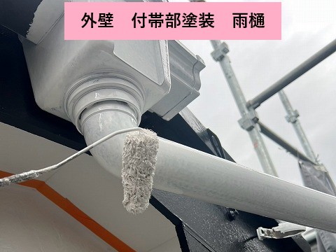 雨樋塗装