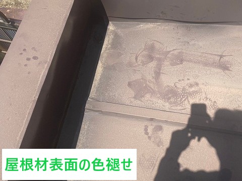 色褪せ