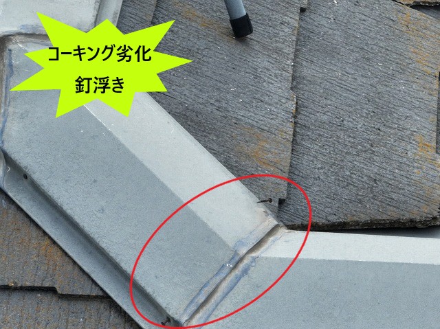 棟板金釘浮き