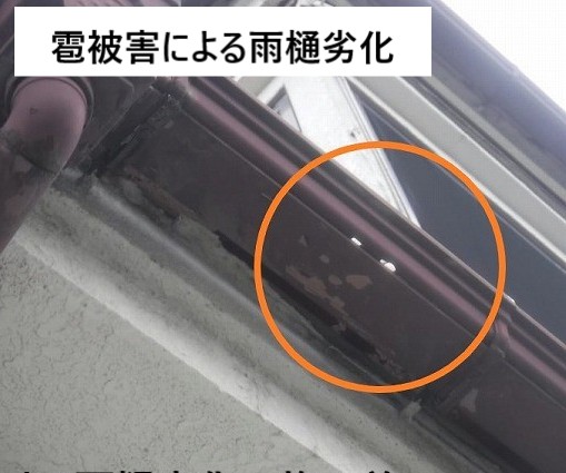 雨樋