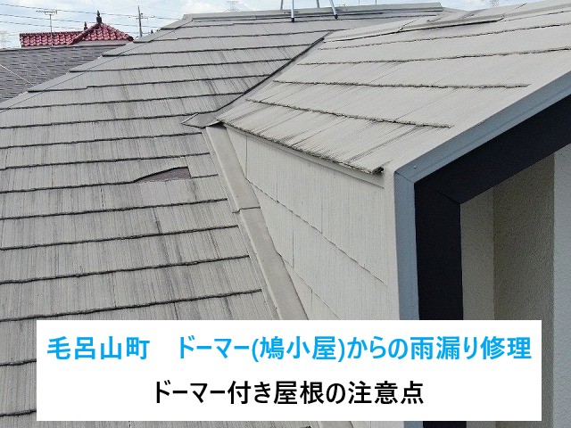 毛呂山町でドーマーからの雨漏り修理を実施