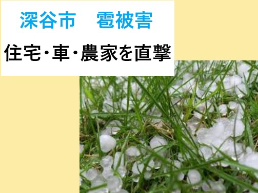 深谷市　雹被害！住宅・車・農家を直撃！驚愕の被害状況と火災保険の活用法！