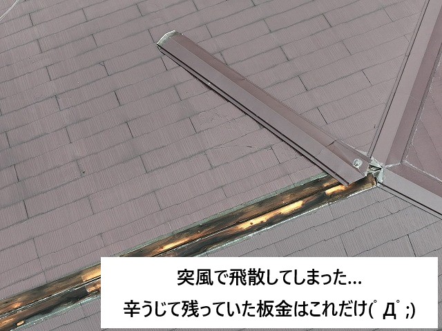 棟板金飛散で悲惨な状態に…雨漏りからの問題山積