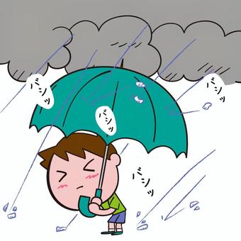 雹