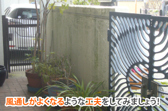 屋根や外壁の藻やカビ・コケ放置しないで！