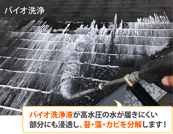 屋根や外壁の藻やカビ・コケ放置しないで！