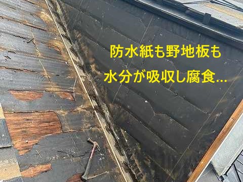 プライマーの塗布