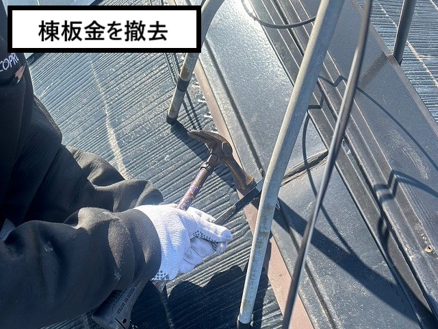 棟板金