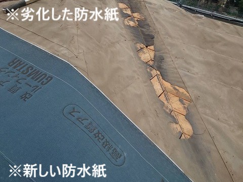 新旧