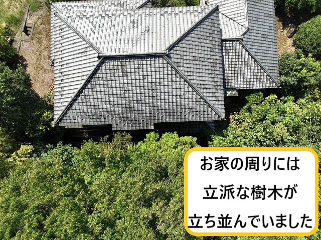 立地条件