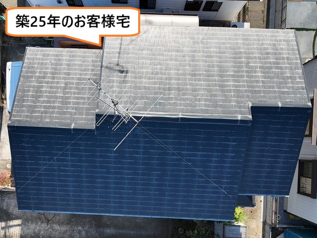 現地調査