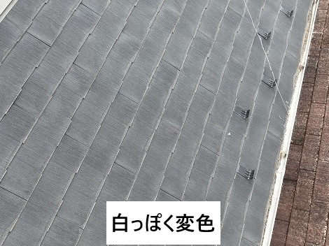 白く変色