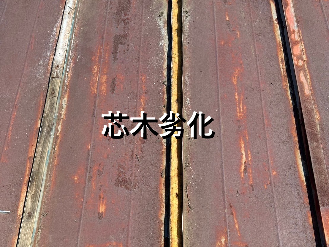 芯木劣化