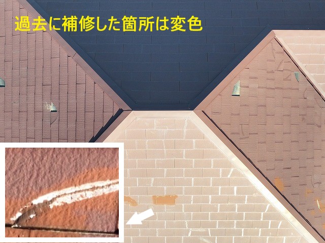 全体