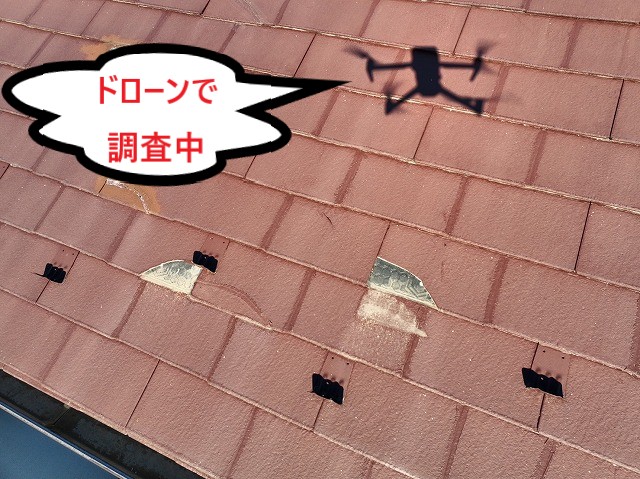現地調査