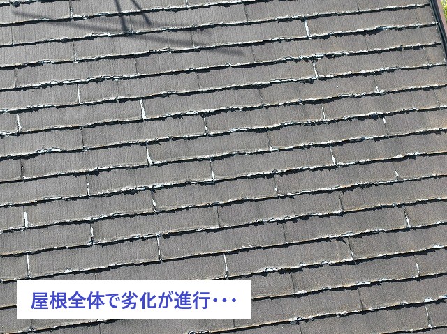 屋根全体で屋根材の劣化が進行中