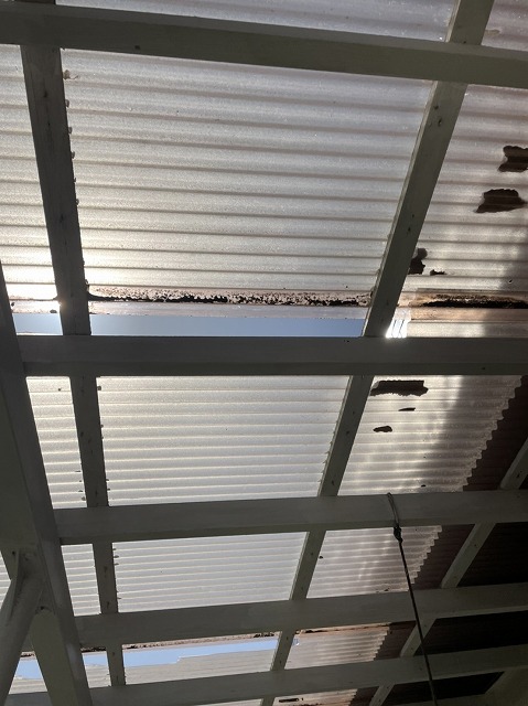 坂戸市で木製テラス屋根の波板交換工事を行いました