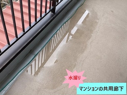 滞水した廊下面