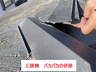 三俣棟パカパカ