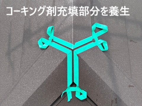 養生