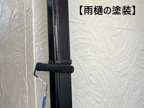 雨樋