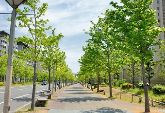 既存の板金の上から、ガルバリウム鋼板製の板金を新たに重ねて設置しました。  ガルバリウム鋼板とは？ アルミニウムと亜鉛を主成分とした金属板で、 錆びにくく、軽量で耐久性が高い素材。  マンションのように面積の大きな屋根でも、軽量で施工しやすく、長持ちするのが特徴です。既存の構造を壊さずに上から施工する「カバー工法」によって、コストや工期の面でもメリットがあります。