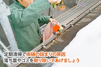 雨樋掃除　快適な暮らしを守る秘訣お教えします♪