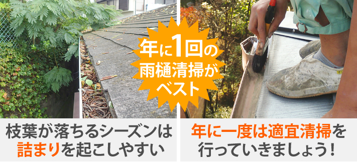 雨樋掃除ならお任せください♪