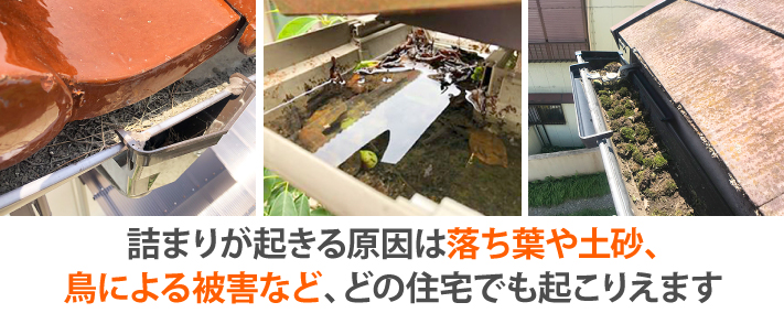 雨樋掃除は年に一度は行いましょう