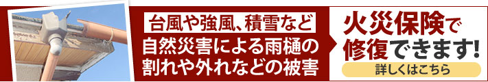 雨樋掃除　落ち葉除けネットで詰まり知らず♪