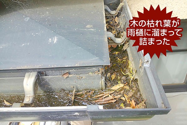 雨樋掃除　快適な暮らしを守る秘訣お教えします♪