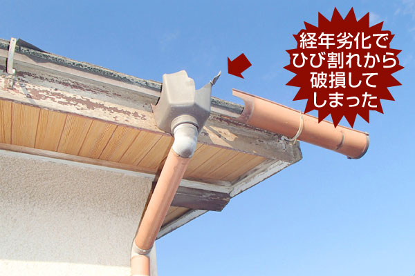 雨樋